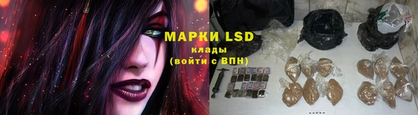 тгк Алексин